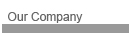 Our Company