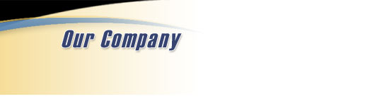 Our Company
