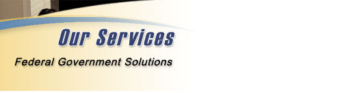 Our Services - Federal Government Solutions